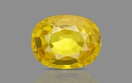 Yellow Sapphire - BYS 6541 (Origin - Thailand) Limited - Quality